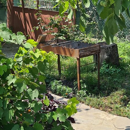 "Budur" Guest House Gandzakar Esterno foto