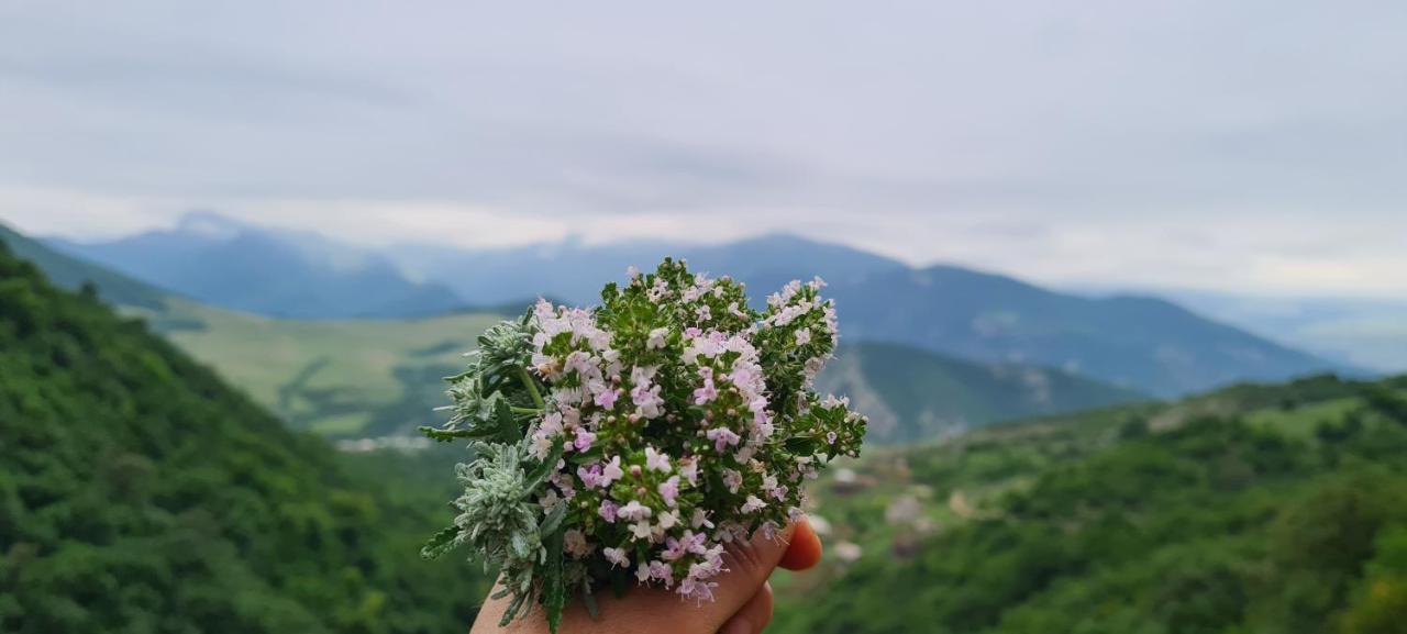 "Budur" Guest House Gandzakar Esterno foto